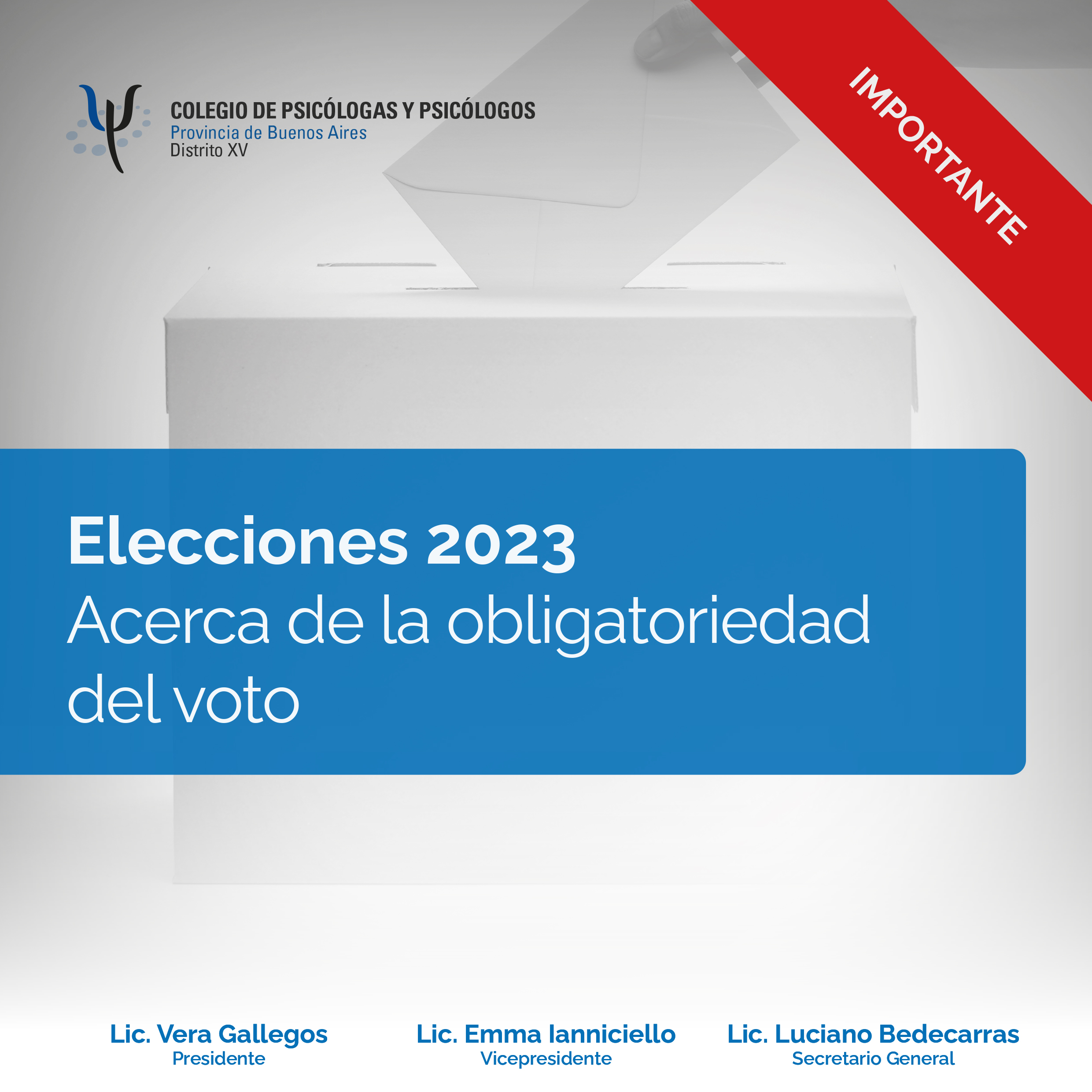 Elecciones 2023 Acerca de la obligatoriedad del voto